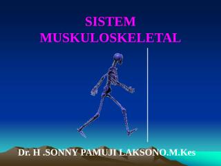 fisiologi sistem muskuloskeletal dr sonny.ppt