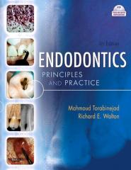 Endodontic Surgery - Endodontic Principles and Practice 4th Ed - Torabinejad.pdf