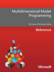 Multidimensional_Model_Programming.pdf