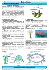 bioresumo.filo.cnidaria.pdf