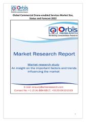 Commercial Drone-enabled Services Market 2017-2022.pdf