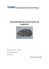 Relatório Determinação da massa molar do magnésio.docx